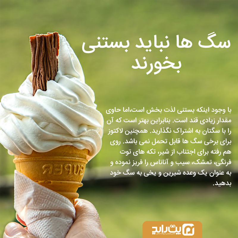 بستنی برای سگ